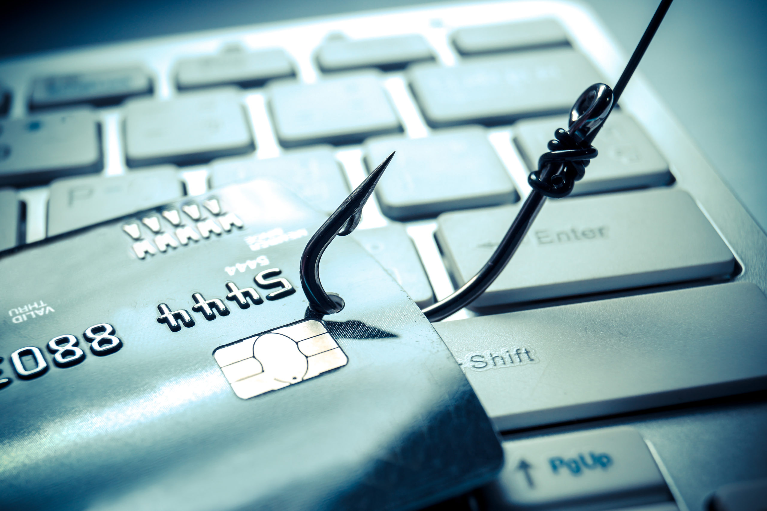 Credit,card,phishing,attack